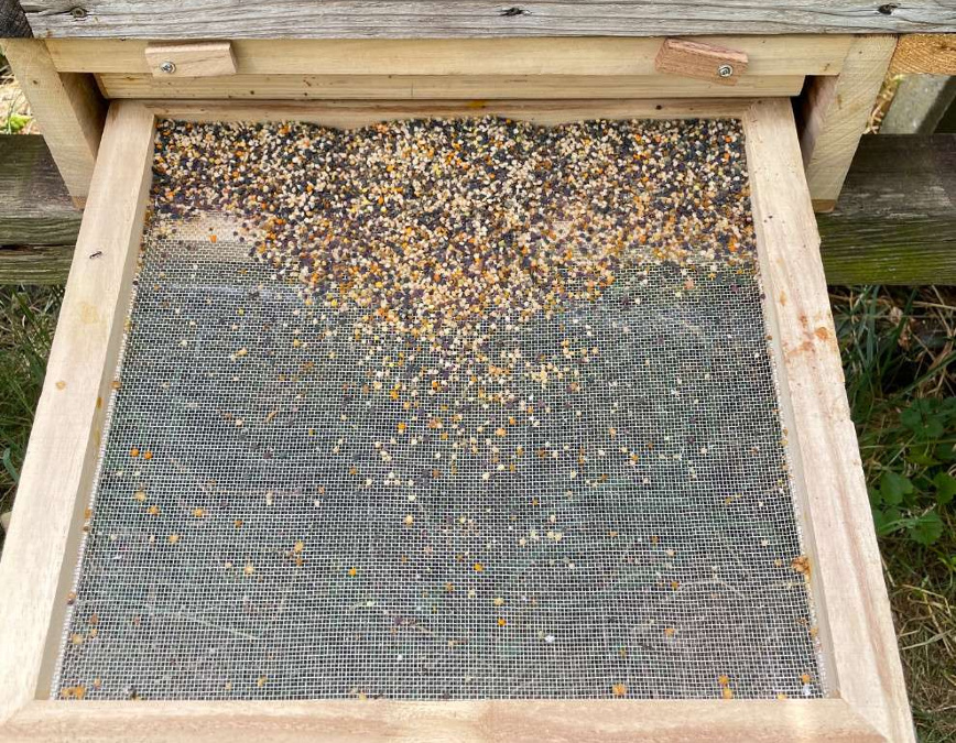 linde2-e1767870498442(2)